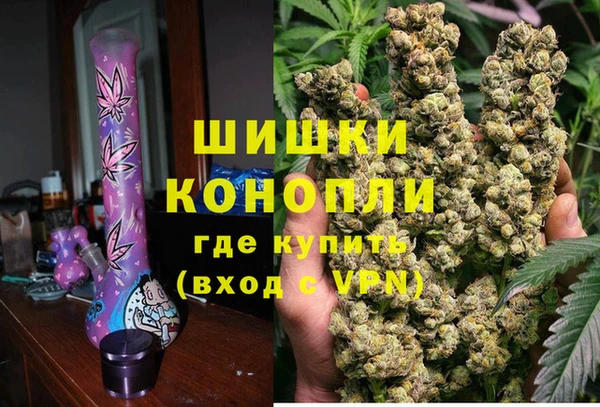 шишки Алексин